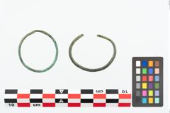 Foto von Bronzering (NHMW-PRAE-026284)